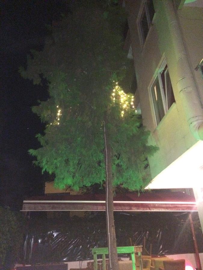 Alanya Demir Hotel Bagian luar foto